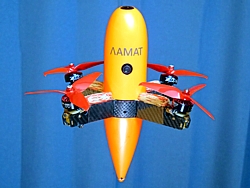 Drone Interceptor