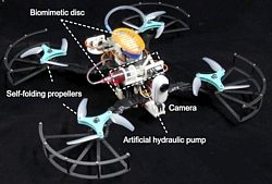 Amphibische Drohne Aufbau