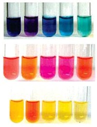 Farben der Metallo-Polyelektrolyte