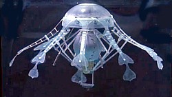 AquaJelly