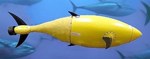 BIOswimmer