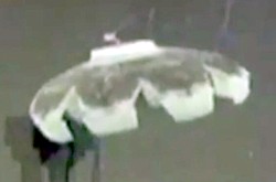 Robojelly