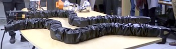Prototypen der Roboter-Aale