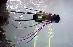Roboter-Tintenfisch der UCSD