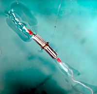 Rochen-Spermbot