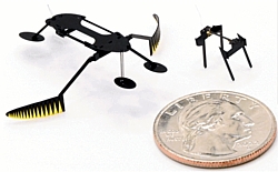WaterStrider und MiniBug im Größenvergleich