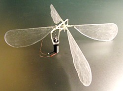 3D-gedruckter Mikroflieger