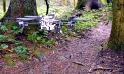 Waldweg-Drohne