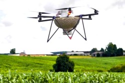 Maiszünsler-Drohne