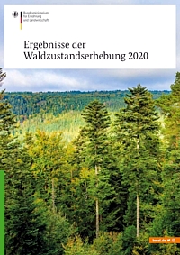 Waldzustandserhebung 2020 Titel