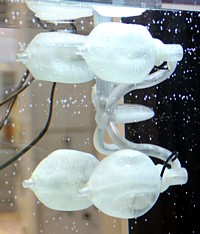 Octopus Siphon Actuator