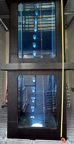 Qualle im Versuchstank