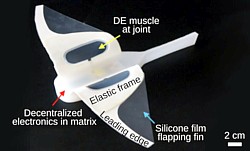 Rocheninspirierter Roboter