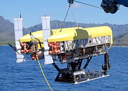Nereus