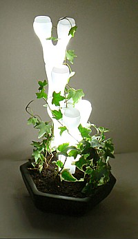 Designlampe Ivy Lamp