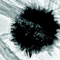 Nanoblumen