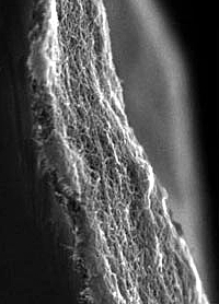 Nanotube-Schichten