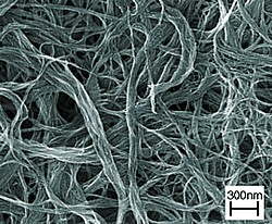 Nanoröhrchen-Blatt