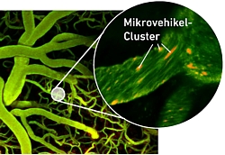 Mikrovehikel der ETHZ Montage