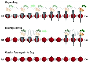 Paramagnon Drag Thermopower Grafik