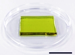Thermogalvanisches Hydrogel