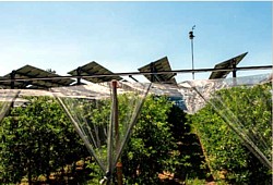 Agrovoltaik-Anlage in La Pugère