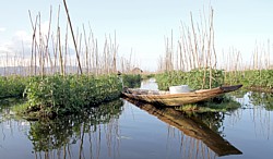 Schwimmende Felder in Myanmar