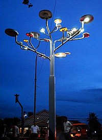 Solar Tree in Angkor Wat