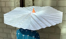 Bloombrella