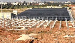 PV-Anlage in Hama im Bau