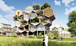 HIVE Grafik