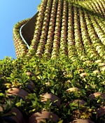 People’s Tower Detail