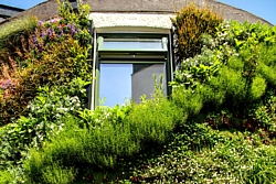 Living wall