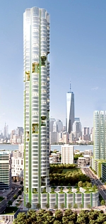 Urban Sequoia Grafik