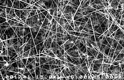 Silizium-Nanoröhren