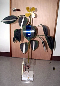 Piezo-Baum von Wan Gi